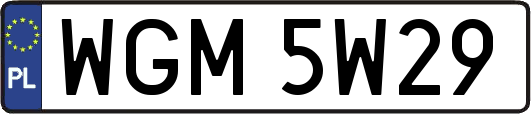 WGM5W29
