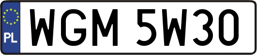 WGM5W30