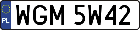 WGM5W42