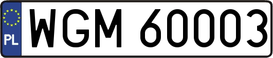 WGM60003