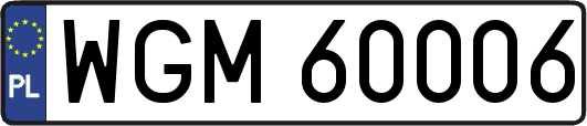 WGM60006