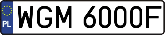 WGM6000F