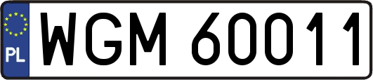 WGM60011