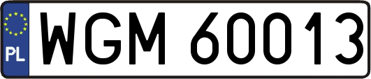 WGM60013