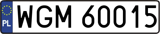 WGM60015