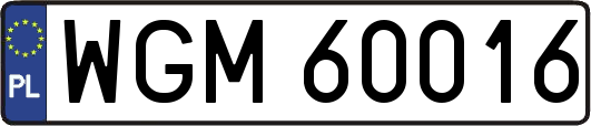 WGM60016