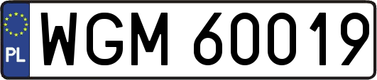 WGM60019