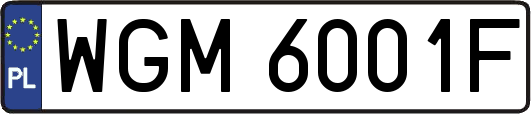 WGM6001F