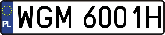 WGM6001H