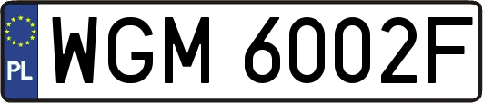 WGM6002F