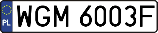 WGM6003F