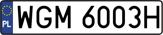 WGM6003H