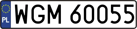 WGM60055