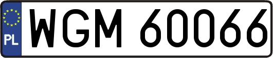 WGM60066