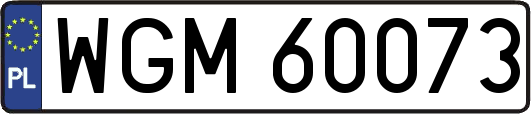 WGM60073