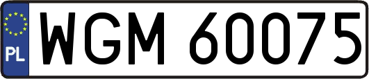 WGM60075