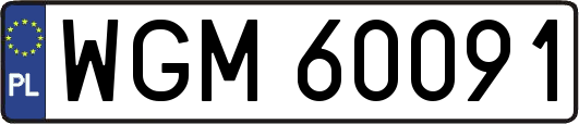 WGM60091