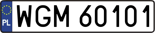 WGM60101