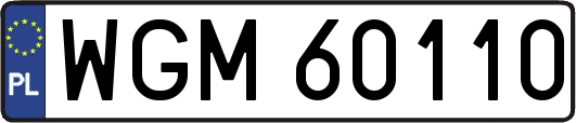 WGM60110