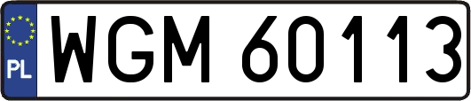 WGM60113