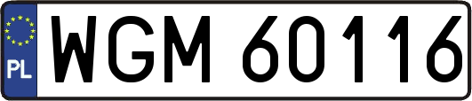 WGM60116