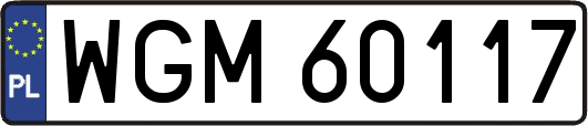 WGM60117