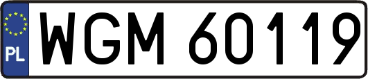 WGM60119
