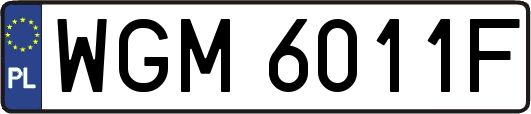 WGM6011F