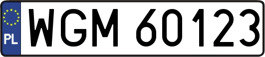 WGM60123