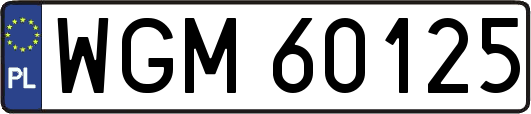 WGM60125