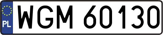 WGM60130