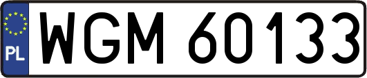 WGM60133