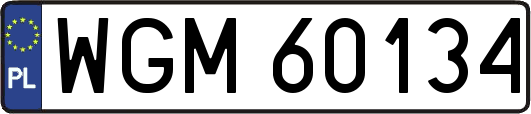 WGM60134