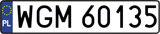 WGM60135