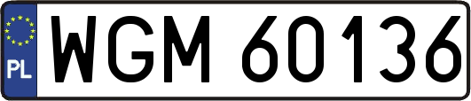 WGM60136