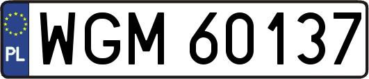 WGM60137
