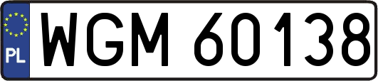 WGM60138
