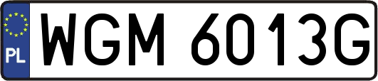 WGM6013G