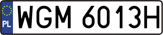 WGM6013H