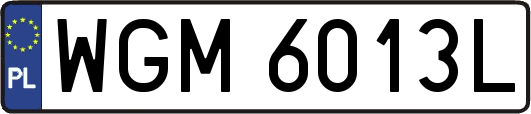WGM6013L