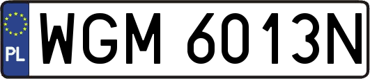 WGM6013N