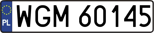 WGM60145