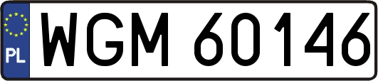 WGM60146