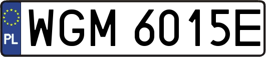 WGM6015E