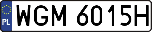 WGM6015H