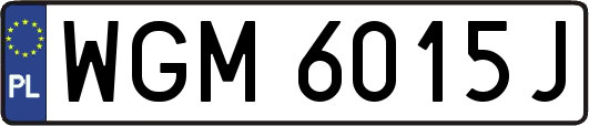 WGM6015J