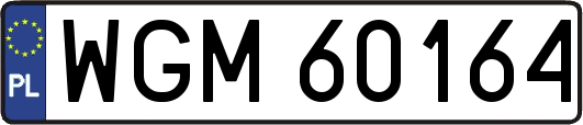 WGM60164