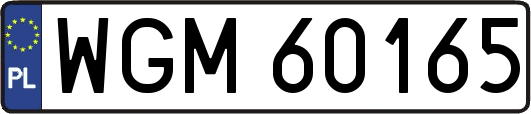 WGM60165