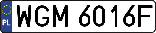 WGM6016F