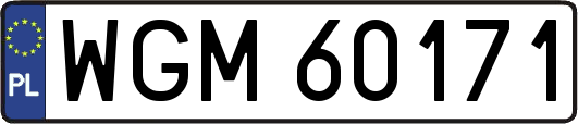 WGM60171